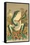 Frog Playing Banjo in Moonlight-null-Framed Stretched Canvas