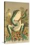 Frog Playing Banjo in Moonlight-null-Stretched Canvas