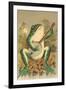 Frog Playing Banjo in Moonlight-null-Framed Art Print