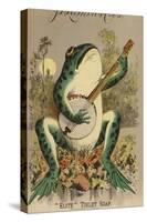 Frog Playing Banjo-null-Stretched Canvas