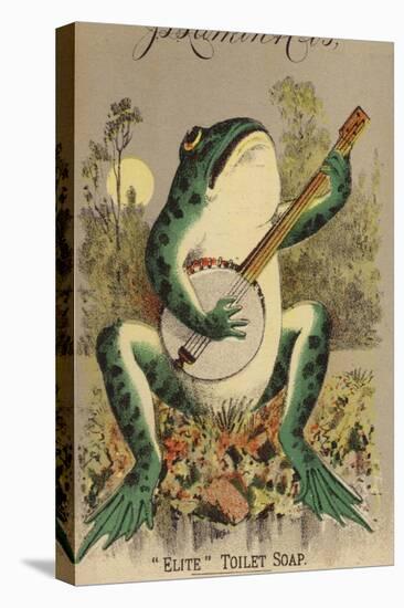 Frog Playing Banjo-null-Stretched Canvas