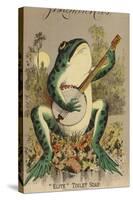 Frog Playing Banjo-null-Stretched Canvas