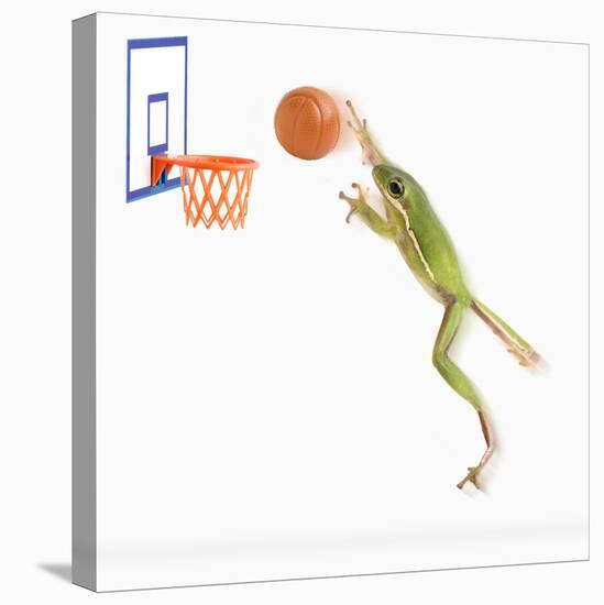 Frog Playing Basketball-null-Stretched Canvas