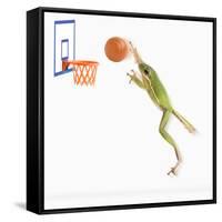 Frog Playing Basketball-null-Framed Stretched Canvas