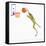 Frog Playing Basketball-null-Framed Stretched Canvas