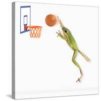 Frog Playing Basketball-null-Stretched Canvas