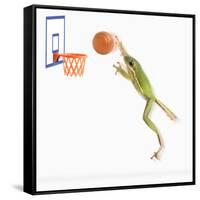 Frog Playing Basketball-null-Framed Stretched Canvas