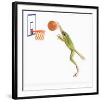 Frog Playing Basketball-null-Framed Photographic Print