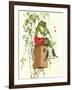 Frog Playing Flute-null-Framed Art Print