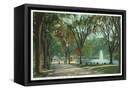 Canvas Black