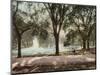 Frog Pond-null-Mounted Art Print