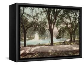 Frog Pond-null-Framed Stretched Canvas