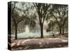 Frog Pond-null-Stretched Canvas