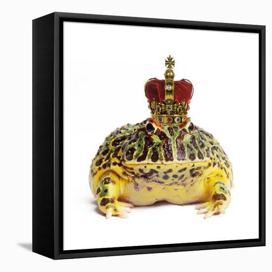 Frog Prince Wearing Crown-Andy and Clare Teare-Framed Stretched Canvas