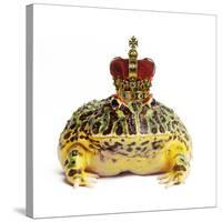 Frog Prince Wearing Crown-Andy and Clare Teare-Stretched Canvas