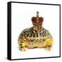 Frog Prince Wearing Crown-Andy and Clare Teare-Framed Stretched Canvas