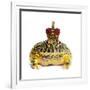 Frog Prince Wearing Crown-Andy and Clare Teare-Framed Photographic Print