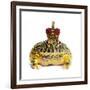 Frog Prince Wearing Crown-Andy and Clare Teare-Framed Photographic Print