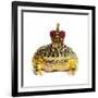 Frog Prince Wearing Crown-Andy and Clare Teare-Framed Photographic Print