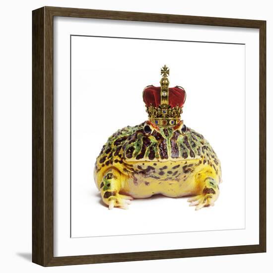 Frog Prince Wearing Crown-Andy and Clare Teare-Framed Photographic Print