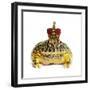 Frog Prince Wearing Crown-Andy and Clare Teare-Framed Photographic Print