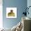 Frog Prince Wearing Crown-Andy and Clare Teare-Photographic Print displayed on a wall