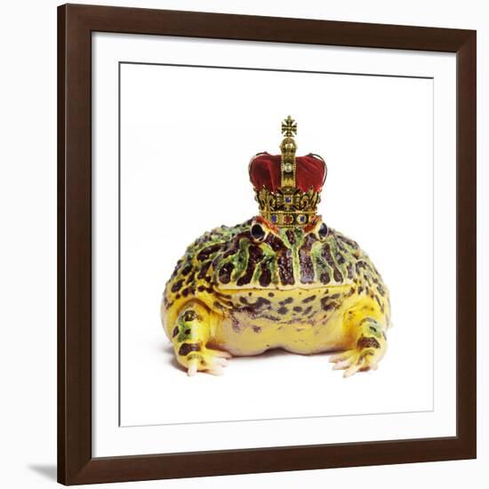 Frog Prince Wearing Crown-Andy and Clare Teare-Framed Photographic Print