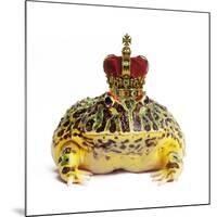 Frog Prince Wearing Crown-Andy and Clare Teare-Mounted Photographic Print