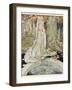 Frog Prince-Anne Anderson-Framed Photographic Print