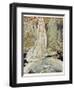 Frog Prince-Anne Anderson-Framed Photographic Print