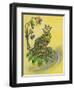 Frog Prince-Judy Mastrangelo-Framed Premium Giclee Print