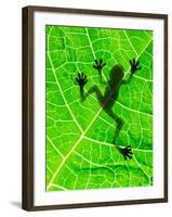 Frog Shadow on the Leaf-Patryk Kosmider-Framed Photographic Print