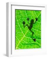 Frog Shadow on the Leaf-Patryk Kosmider-Framed Photographic Print