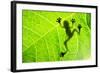 Frog Shadow on the Leaf-Patryk Kosmider-Framed Photographic Print