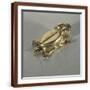 Brown Frame