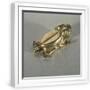 White Frame