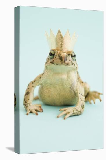 Frog Wearing Crown-Walter B. McKenzie-Stretched Canvas