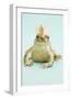 Frog Wearing Crown-Walter B. McKenzie-Framed Photographic Print