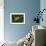Frog-Gordon Semmens-Framed Photographic Print displayed on a wall