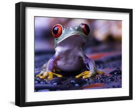 Frog-Sebastian Duda-Framed Photographic Print