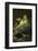 Frog-Lynn M^ Stone-Framed Photographic Print