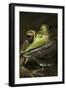 Frog-Lynn M^ Stone-Framed Photographic Print