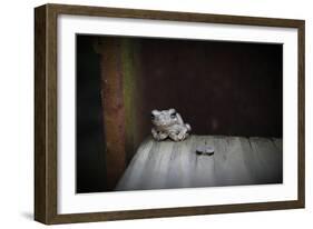 Frog-Julie Fain-Framed Art Print