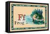Frog-null-Framed Stretched Canvas