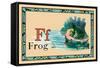 Frog-null-Framed Stretched Canvas