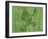 Frog-Karen Williams-Framed Giclee Print