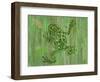 Frog-Karen Williams-Framed Giclee Print