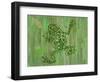 Frog-Karen Williams-Framed Giclee Print