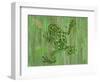 Frog-Karen Williams-Framed Premium Giclee Print