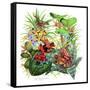 Frogs About-Tim Knepp-Framed Stretched Canvas